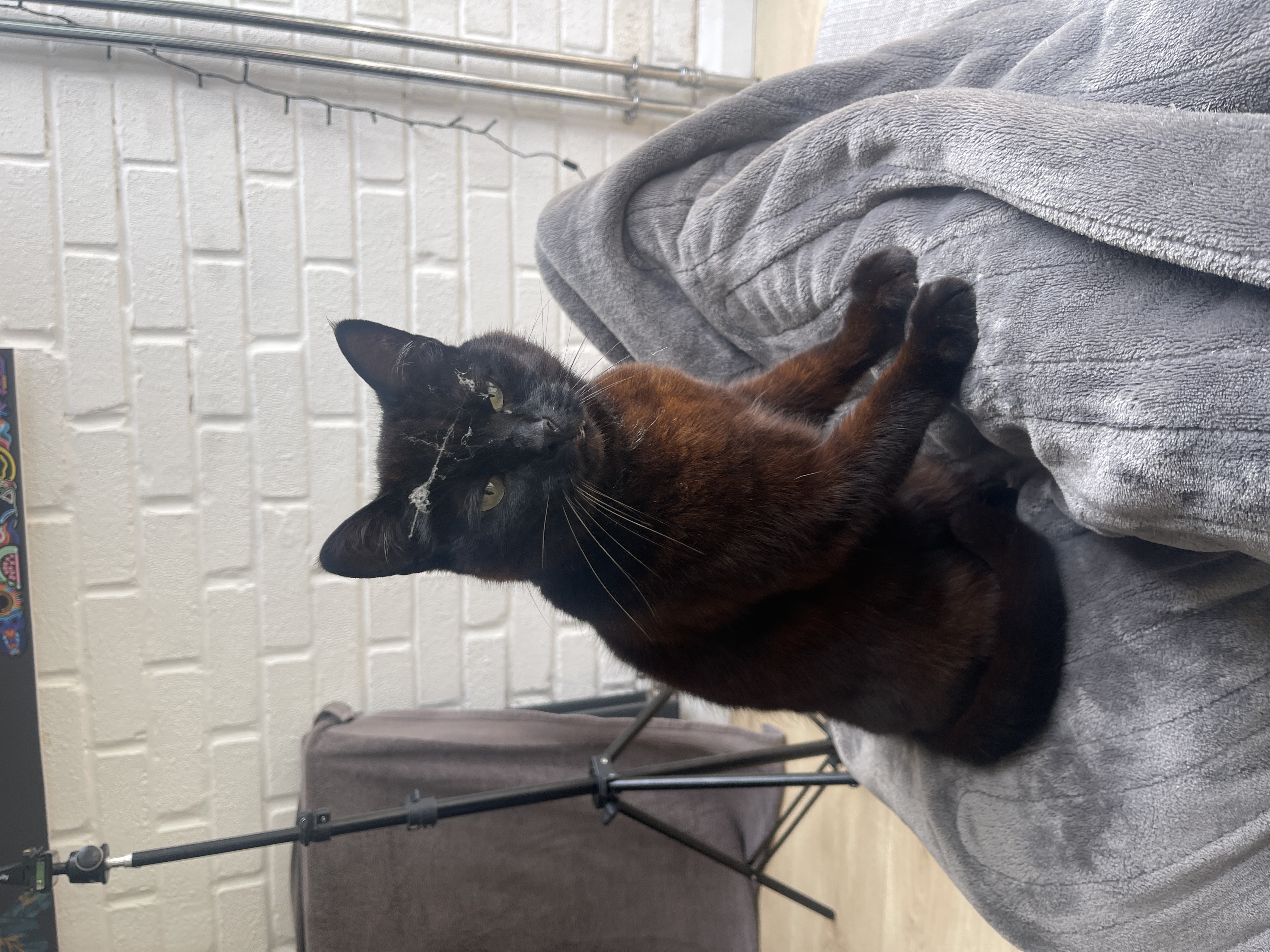 Minky, the dribbling supervisor